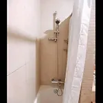 Plant Paradise * البوفيرا
