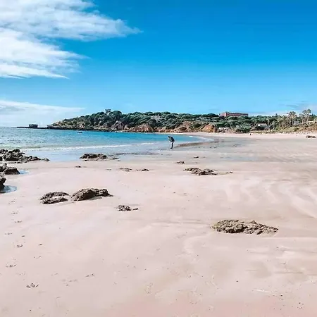 Plant Paradise 公寓 *