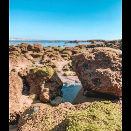 Plant Paradise דירה *