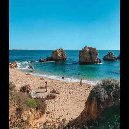 Plant Paradise דירה *