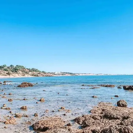 Plant Paradise Апартаменты